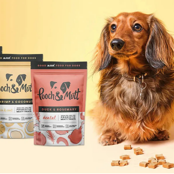 Premium Dog Food - Royal Pet Mart