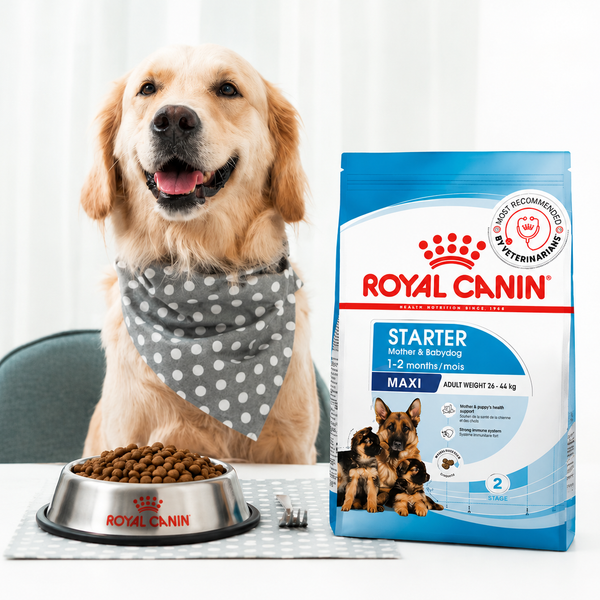Starter Food - Royal Pet Mart
