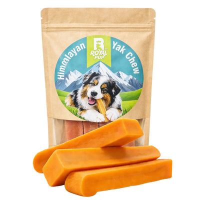 Royal Pup Himalayan Yak Chew Bars|100% Natural, Long-Lasting Dog Chew| (Pack of 3)