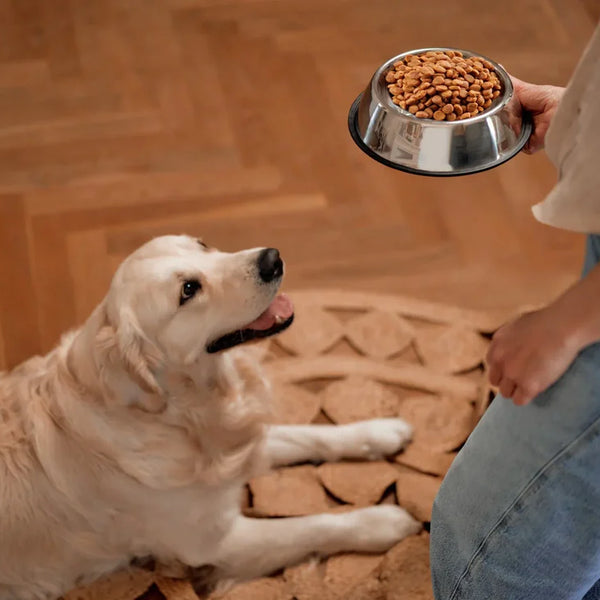 Veg food - Royal Pet Mart