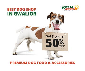 Best Dog Shop in Gwalior- Premium Dog Food and Accessories