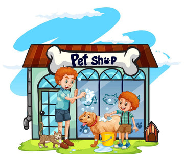 Top Pet Store in Gwalior | Best Place for Pet Supplies & Care