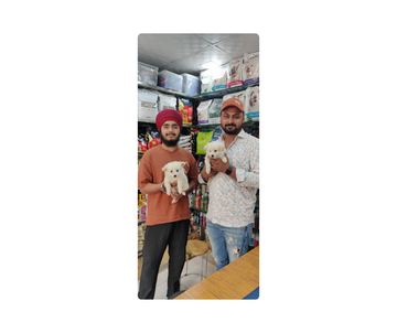Dog Pet Shop in Gwalior-Premium Dog Food & Accessories