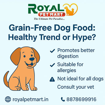 Grain-Free Dog Food: Healthy Trend or Hype