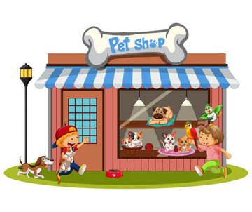 Best Pet Shop in Gwalior – Food, Accessories & Many More