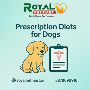 Prescription Diets for Dogs: What You Need to Know (and Where to Buy)