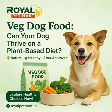 Veg Dog Food: Can Your Dog Thrive on a Plant-Based Diet?
