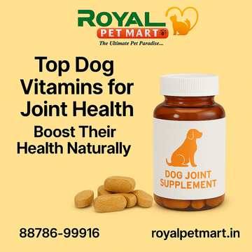 Top Dog Vitamins for Joint Health: Boost Their Health Naturally