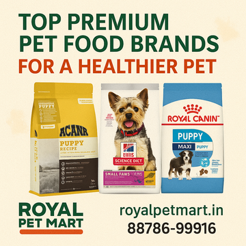 Top Premium Pet Food Brands for a Healthier Pet