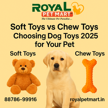 Soft Toys vs Chew Toys: Choosing Dog Toys 2025 for Your Pet