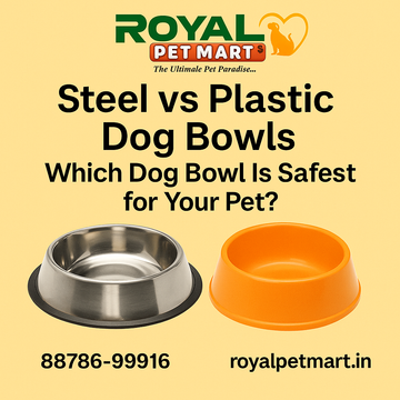 Steel vs Plastic Dog Bowls: Which Dog Bowl Is Safest for Your Pet?