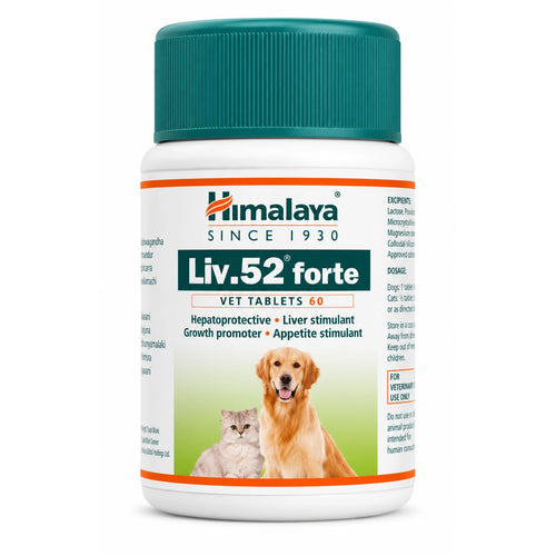 Himalaya Liv.52 Forte Vet Tablets for Dogs & Cats | Liver Support, Appetite & Growth Supplement | Hepatoprotective Formula | 60 Tablets