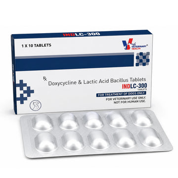 INDLC-300 Tablets for Dogs | Doxycycline & Lactic Acid Bacillus Veterinary Tablets