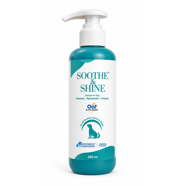 Soothe & Shine Oat Active System Shampoo for Dogs | Gentle Skin Nourishing Pet Shampoo | Cleanses, Rejuvenates & Protects Coat | 200ml