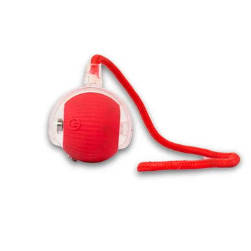 Interactive LED Flash Ball Cat Toy with Bell & String | Rechargeable Light-Up Cat Play Ball | Multiple Colours Available