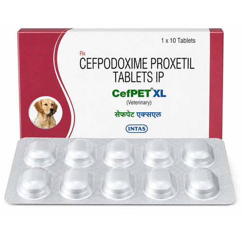 Intas CefPET XL Cefpodoxime Proxetil Tablets IP 200mg for Dogs | Veterinary Antibiotic Tablets (10 Tablets)