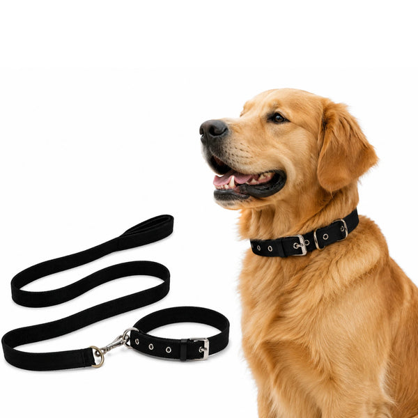 Premium Dog Collar & Leash Set for Large Dogs | Heavy Duty Adjustable Collar