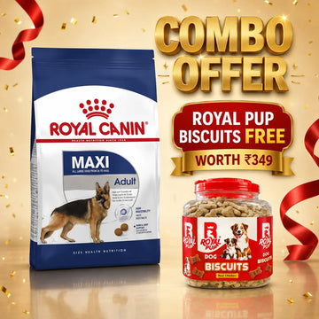 ROYAL CANIN MAXI ADULT COMBO OFFER – 4KG & 10KG