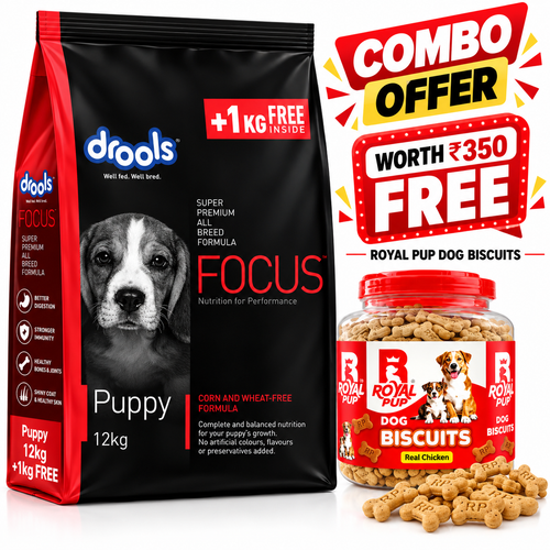 Drools Focus Puppy Dog Food 12kg + 1kg Free + FREE Royal Pup Real Chicken Dog Biscuits (Worth ₹350) | Super Premium Puppy Combo Offer