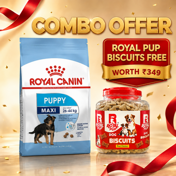Royal Canin Maxi Puppy Dog Food + Royal Pup Biscuits Free | Combo Offer