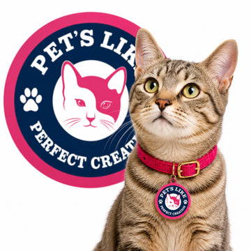 Pet’s Like Adjustable Cat Collar | Soft Nylon Collar for Cats & Kittens