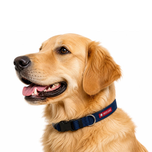 Pet’s Like 20mm Nylon Dog Collar | Adjustable Heavy Duty Dog Collar