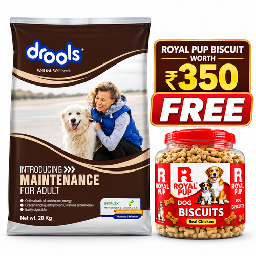 Drools Maintenance Adult Dog Food 20kg + FREE Royal Pup Real Chicken Dog Biscuits (Worth ₹350) | Limited Combo Offer