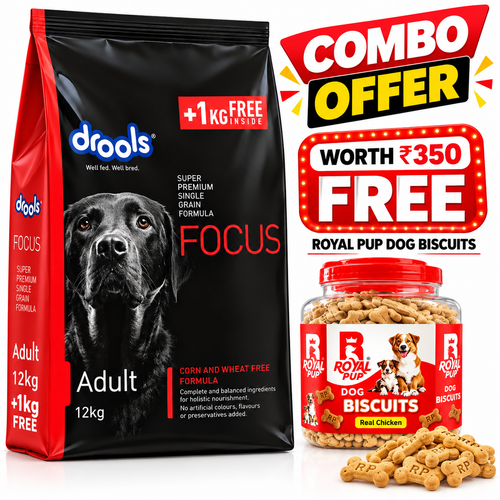 Drools Focus Adult Dog Food 12kg + 1kg Free + FREE Royal Pup Real Chicken Dog Biscuits (Worth ₹350) | Single Grain Formula Combo Offer