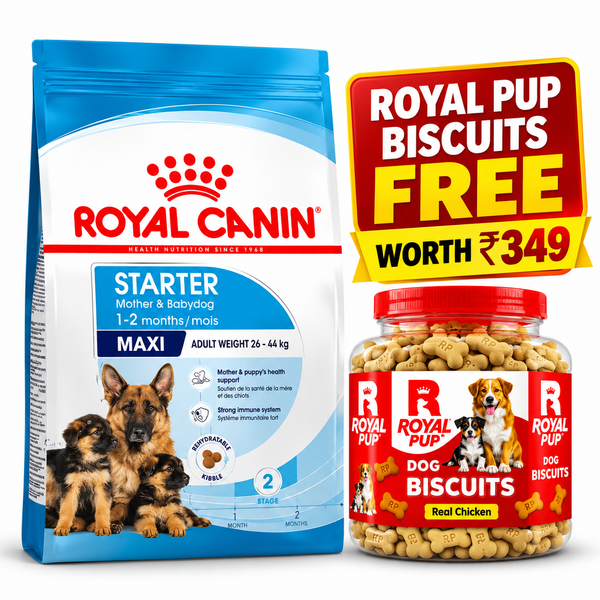 Royal Canin Maxi Starter Mother & Babydog Large Breed Puppy Food + Royal Pup Biscuits FREE Worth ₹349 | Combo Offer