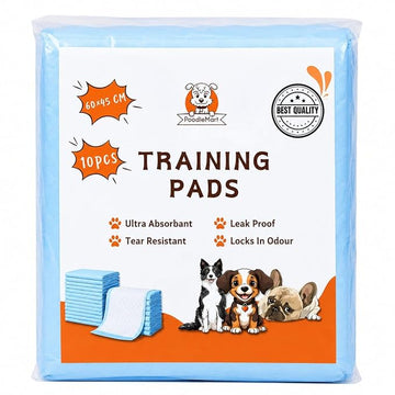 Dog Training Pads 60×45 CM – 10 PCS | Ultra Absorbent, Leak Proof & Odour Control