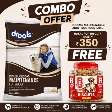 Drools Maintenance Adult Dog Food 20kg + FREE Royal Pup Real Chicken Dog Biscuits (Worth ₹350) | Limited Combo Offer