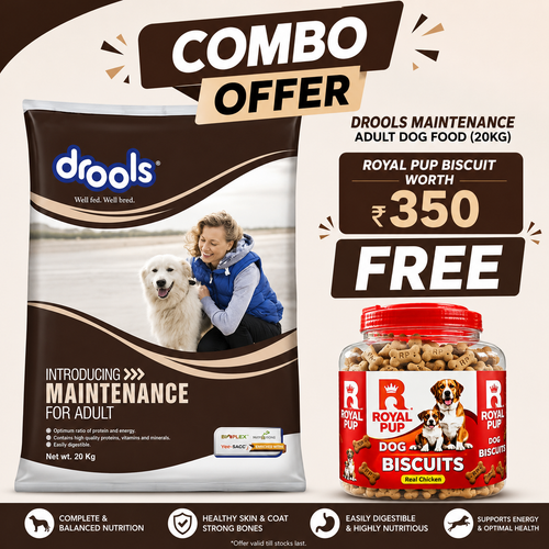 Drools Maintenance Adult Dog Food 20kg + FREE Royal Pup Real Chicken Dog Biscuits (Worth ₹350) | Limited Combo Offer
