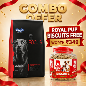 Drools Focus Super Premium Adult Dog Food 4KG | All Breed | Real Chicken | No Corn, Wheat & Soya + FREE Royal Pup Biscuits Worth ₹349