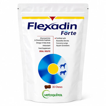 Flexadin Forte Joint Support Chews for Dogs | Glucosamine, Chondroitin & Omega-3 | 30/60 Chews