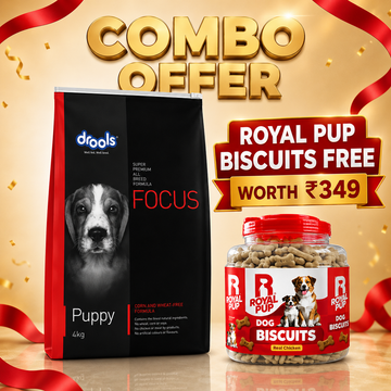 Drools Focus Puppy Super Premium Dog Food 4KG | All Breed Puppy Food | Real Chicken | No Corn, Wheat & Soya + FREE Royal Pup Biscuits Worth ₹349