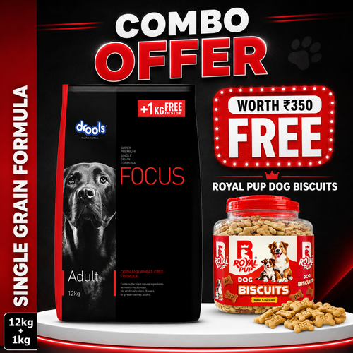 Drools Focus Adult Dog Food 12kg + 1kg Free + FREE Royal Pup Real Chicken Dog Biscuits (Worth ₹350) | Single Grain Formula Combo Offer