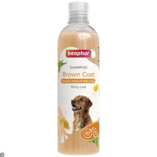 Beaphar Brown Coat Shampoo for Dogs – 250ml | Aloe Vera & Manuka Honey | pH Neutral Formula