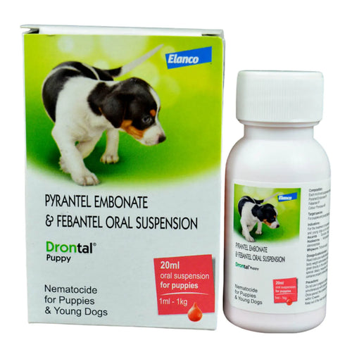 Drontal Puppy Syrup – oral deworming suspension for puppies
