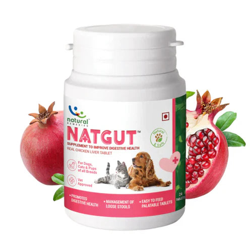 Natgut Digestive Health Tablets for Dogs & Cats | Probiotic & Prebiotic Supplement