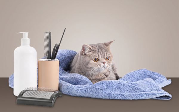 Grooming