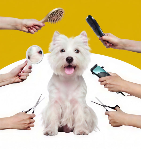 Grooming