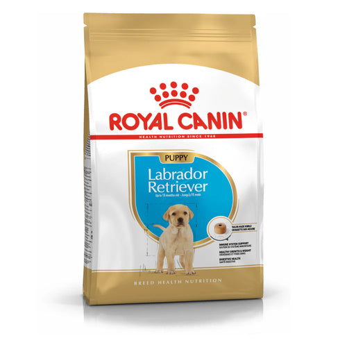 Royal Canin Labrador Puppy Dry Dog Food