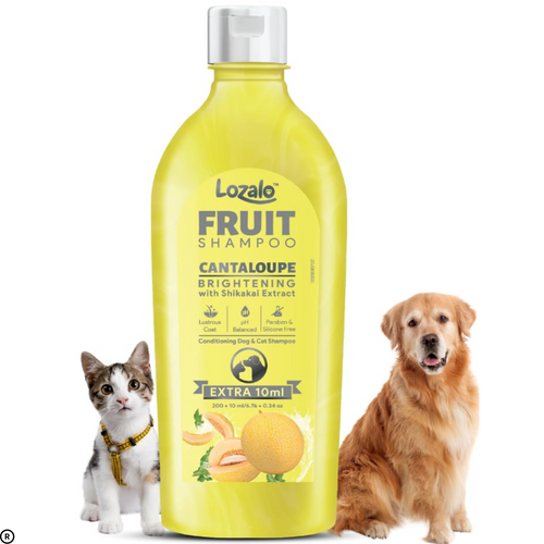 Lozalo Fruit Pet Shampoo – Cantaloupe, 200ml | pH Balanced, Paraben-Free, Enriched with Aloe Vera & Shikakai Extract | Suitable for Dogs & Cats