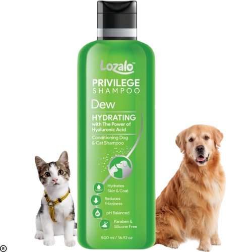 Lozalo Privilege Dew Conditioning Shampoo For Dogs & Cats