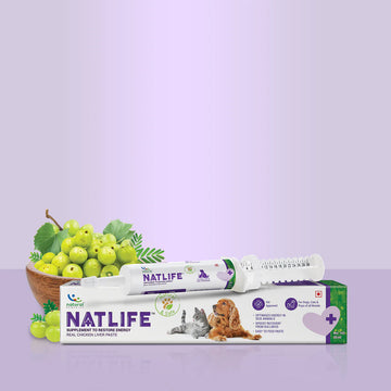 NatLife Energy Supplement Paste for Dogs & Cats | Real Chicken Liver Paste | Nutritional Recovery & Appetite Support | 30ml