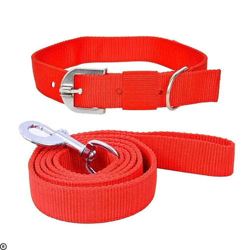 Nylon Dog Collar & Leash Set – Adjustable and Durable for Daily Use