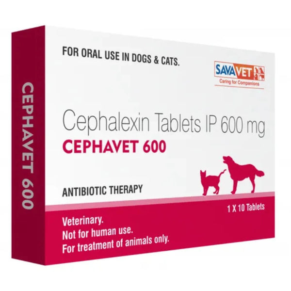 Cephavet 600 Cephalexin Tablets for Dogs & Cats | Veterinary Antibiotic Tablets for Bacterial Infections | Skin, Wound & Urinary Infection Support
