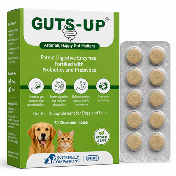GUTS-UP Chewable Tablets for Dogs & Cats – Digestive Enzymes, Probiotics & Prebiotics Gut Health Supplement | 30 Tablets
