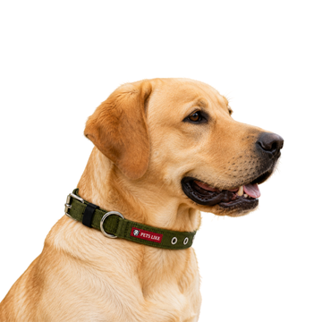 Pet’s Like 32mm Heavy Duty Dog Collar | Adjustable Nylon Dog Collar