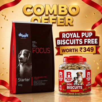 Drools Focus Starter Super Premium Puppy Food 4KG | All Breed | 3 Weeks–3 Months | Real Chicken | No Corn, Wheat & Soya + FREE Royal Pup Biscuits Worth ₹349